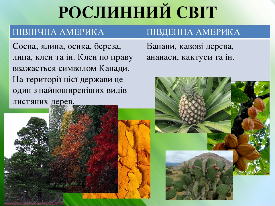 Презентація Північна і Південна Америка