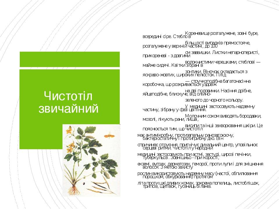 Презентація на тему : Лікарські рослини | Презентація. Біологія