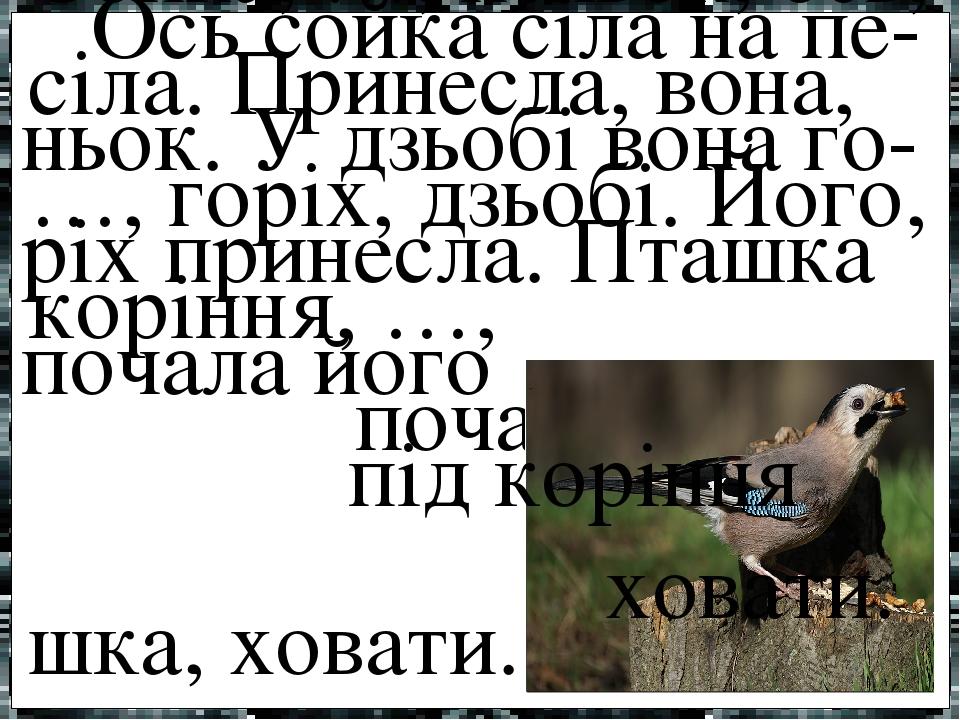 Сойка, …, пеньок, ось, сіла. Принесла, вона, …, горіх, дзьобі. Його, коріння, …, почала, пта- шка, ховати. Ось сойка сіла на пе-ньок. У дзьобі вона...
