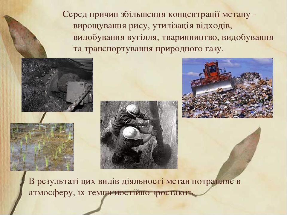 В результаті цих видів діяльності метан потрапляє в атмосферу, їх темпи постійно зростають. Серед причин збільшення концентрації метану - вирощуван...