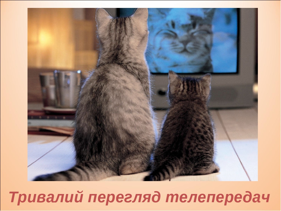 Тривалий перегляд телепередач
