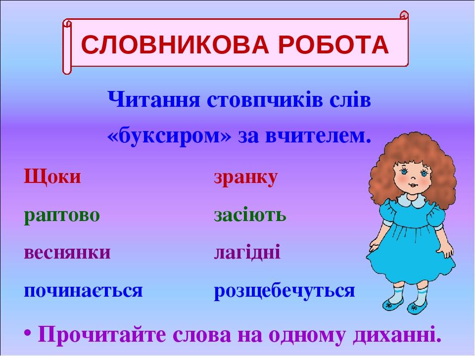 Читання стовпчиків слів «буксиром» за вчителем. Щоки зранку раптово засіють веснянки лагідні починається розщебечуться Прочитайте слова на одному д...