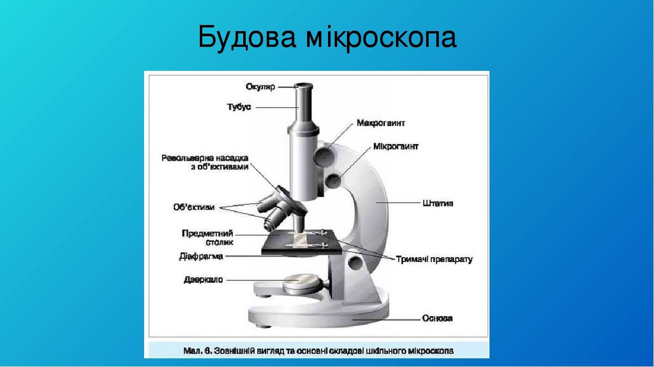 Части микроскопа выполняют функции штатив. Строение микроскопа. Схема строения микроскопа. Название частей микроскопа. Световой микроскоп строение.