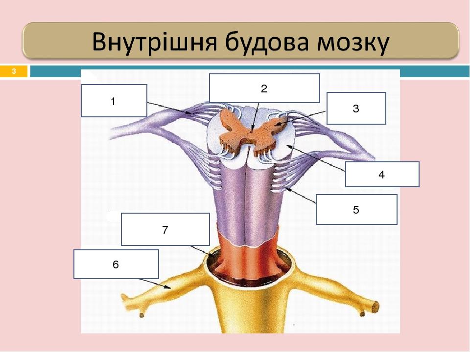 * 1 2 3 4 5 6 7