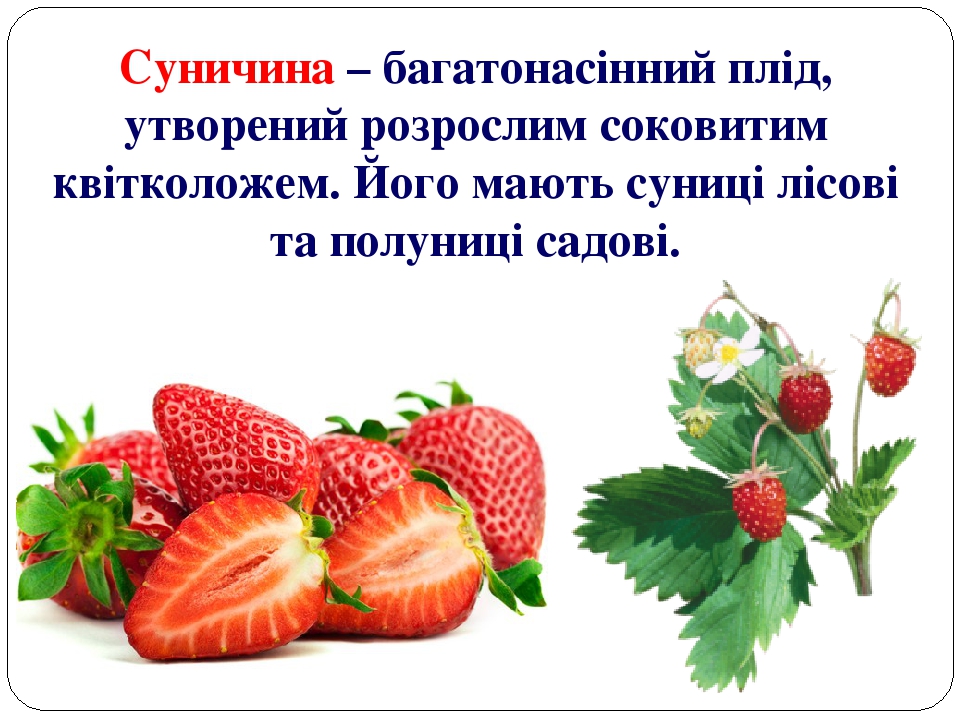 Плоди