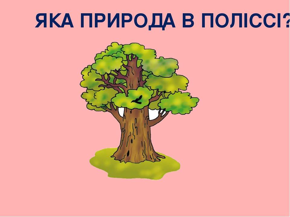 ЯКА ПРИРОДА В ПОЛІССІ?