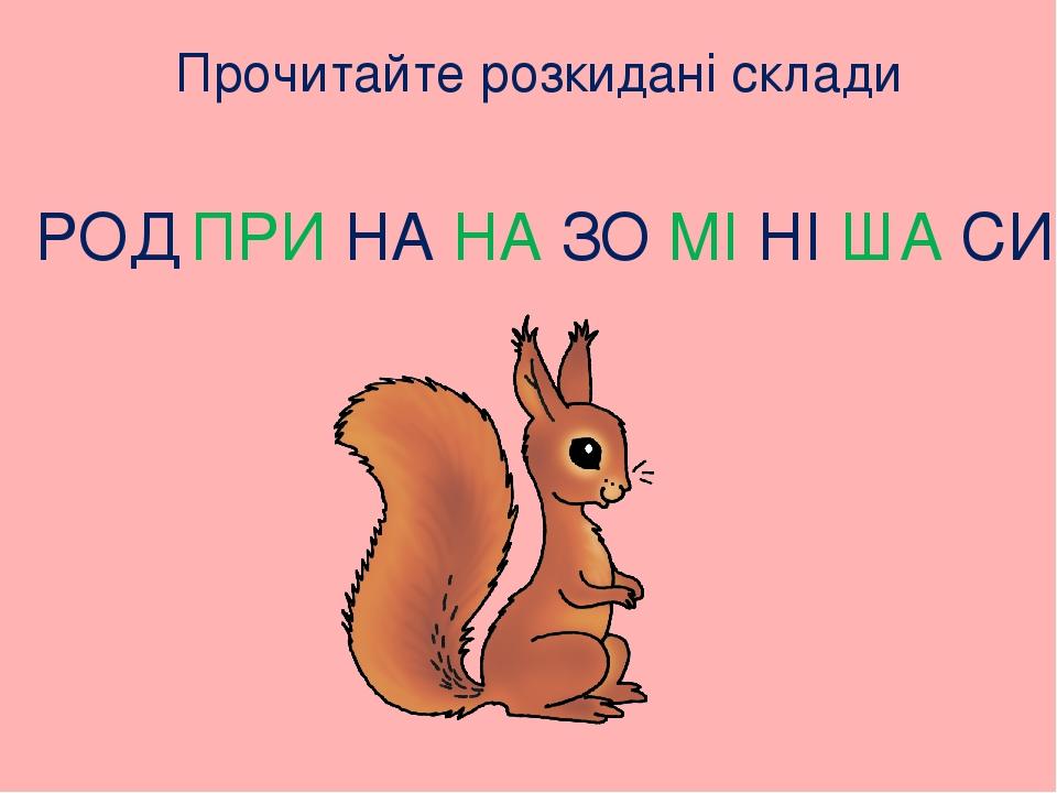 Прочитайте розкидані склади РОД ПРИ НА НА ЗО МІ НІ ША СИ ЛІ