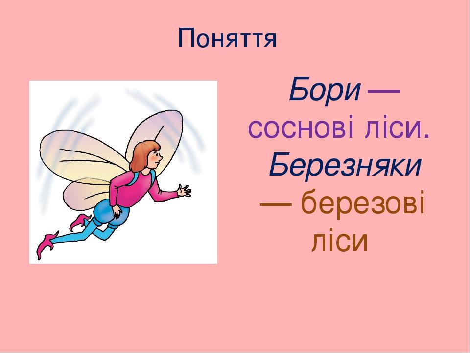 Бори — соснові ліси. Березняки — березові ліси Поняття