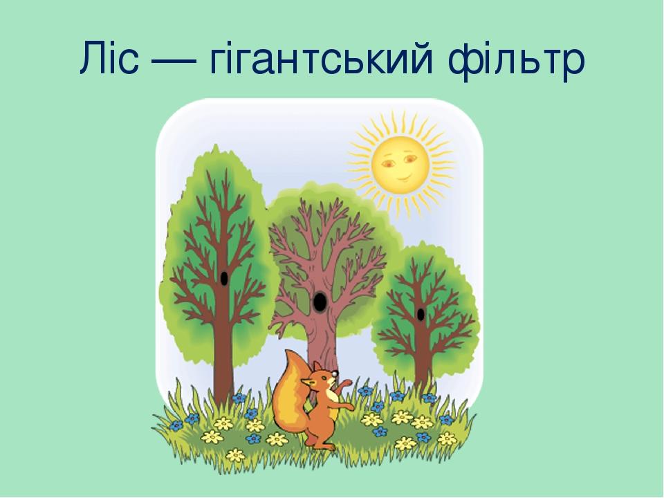 Ліс — гігантський фільтр