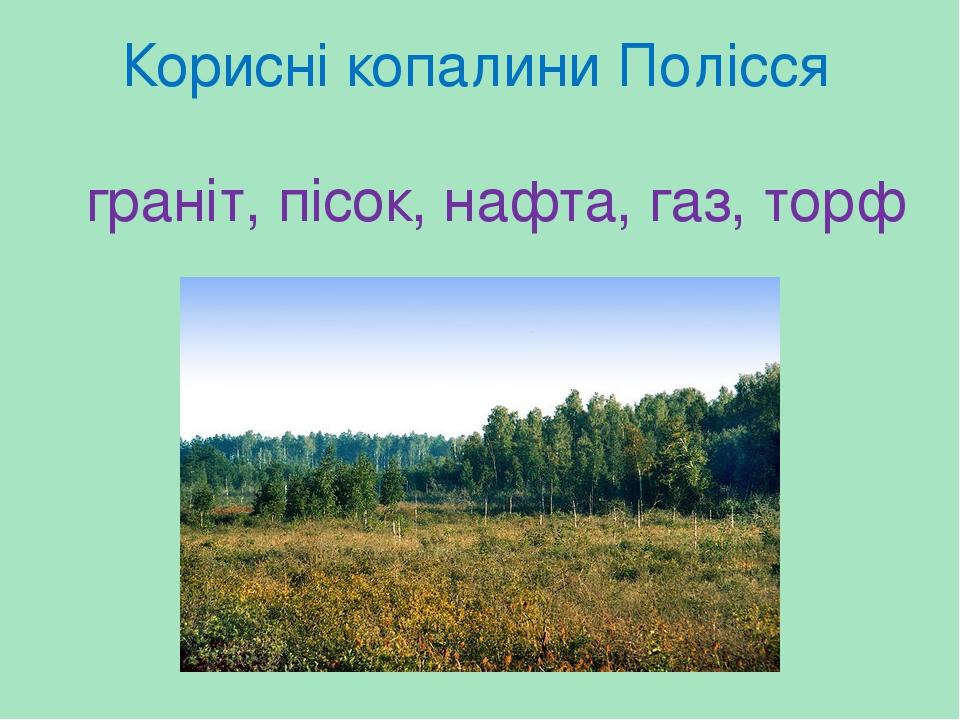 Корисні копалини Полісся граніт, пісок, нафта, газ, торф
