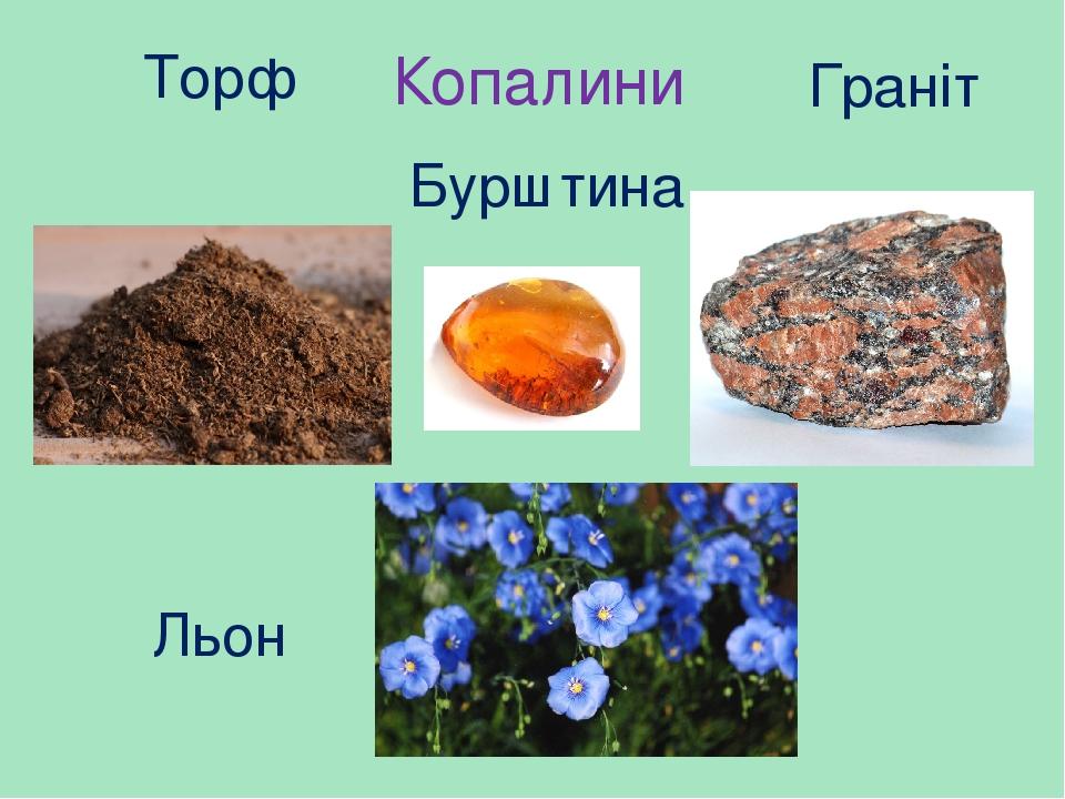 Копалини Торф Граніт Бурштина Льон