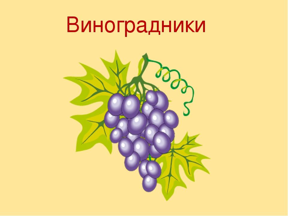 Виноградники