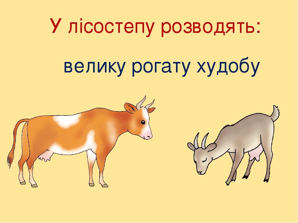 У лісостепу розводять: велику рогату худобу