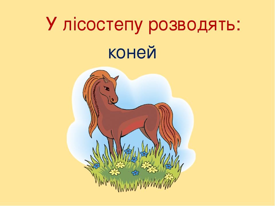 коней У лісостепу розводять: