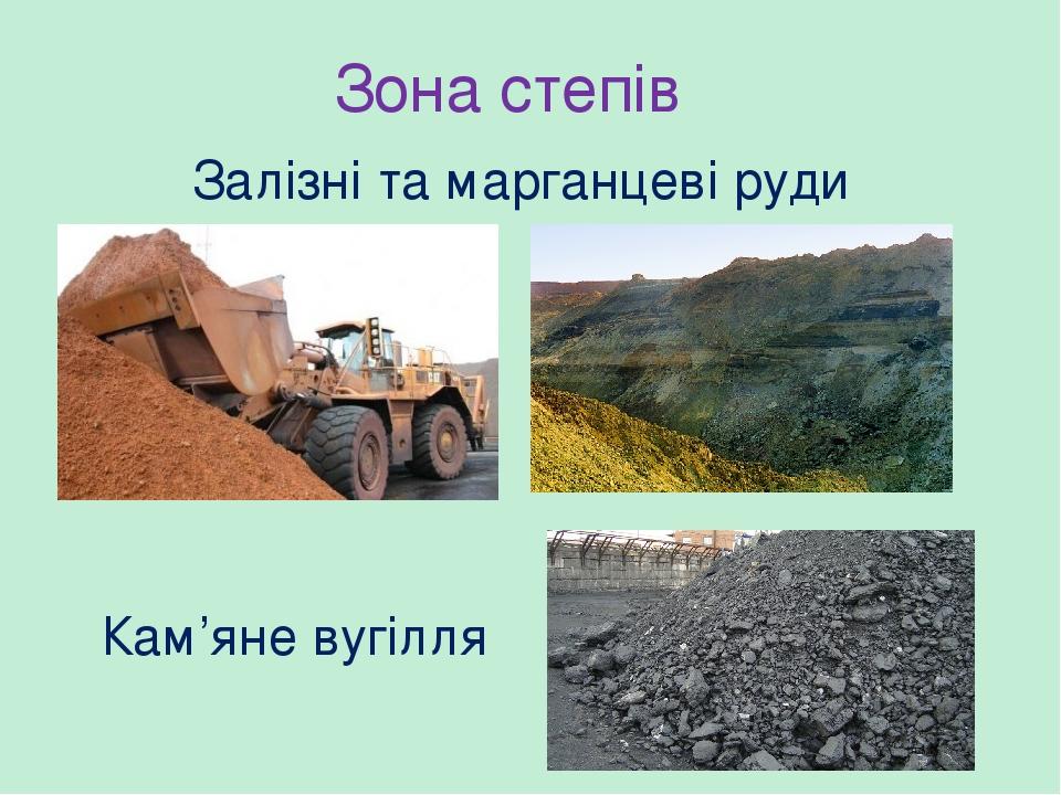 Зона степів Залізні та марганцеві руди Кам’яне вугілля