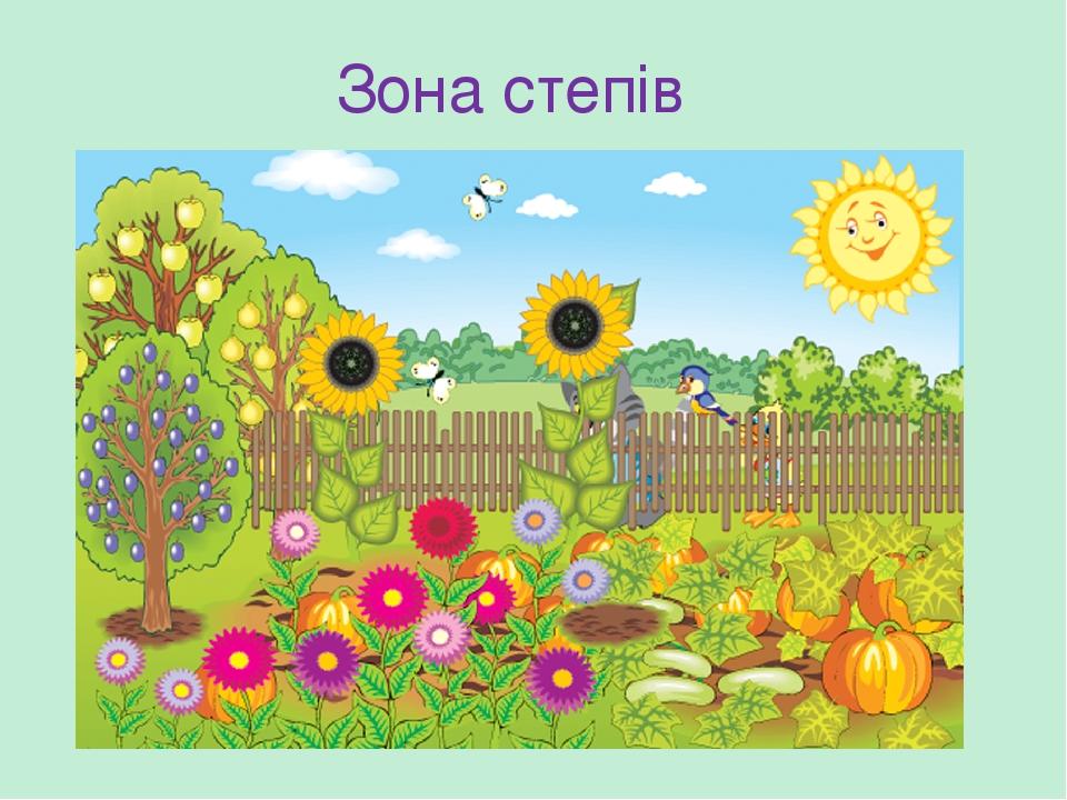 Зона степів