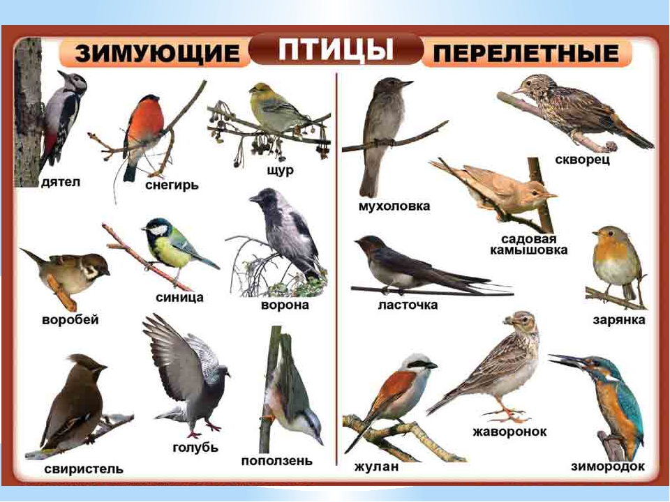 Рассмотри рисунки прочитай диалоги какой диалог соответствует каждому из рисунков французский