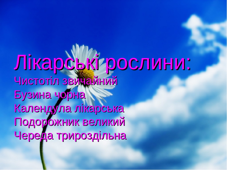 Презентація "Лікарські рослини"