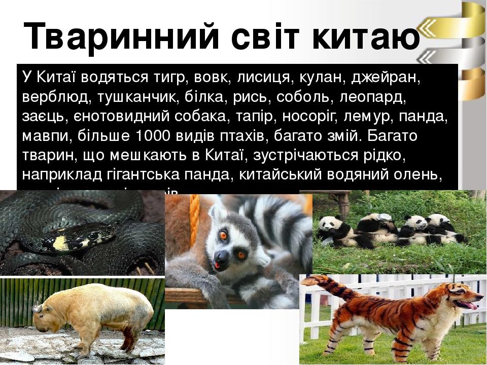 Тваринний світ китаю У Китаї водяться тигр, вовк, лисиця, кулан, джейран, верблюд, тушканчик, білка, рись, соболь, леопард, заєць, єнотовидний соба...
