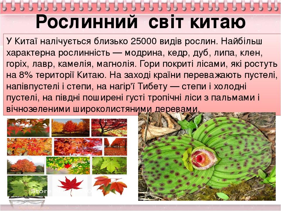 Рослинний світ китаю У Китаї налічується близько 25000 видів рослин. Найбільш характерна рослинність — модрина, кедр, дуб, липа, клен, горіх, лавр,...