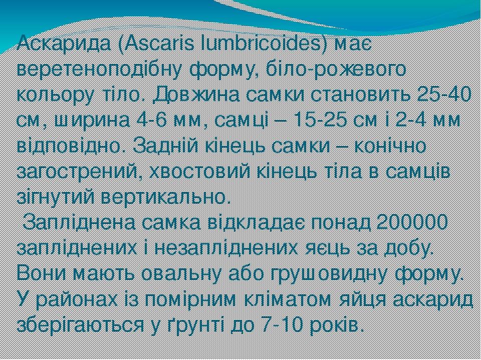 Аскарида (Ascaris lumbricoides) має веретеноподібну форму, біло-рожевого кольору тіло. Довжина самки становить 25-40 см, ширина 4-6 мм, самці – 15-...