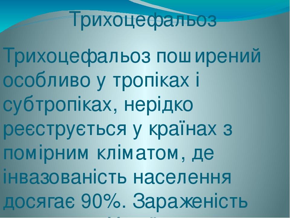 Трихоцефальоз Трихоцефальоз поширений особливо у тропіках і субтропіках, нерідко реєструється у країнах з помірним кліматом, де інвазованість насел...