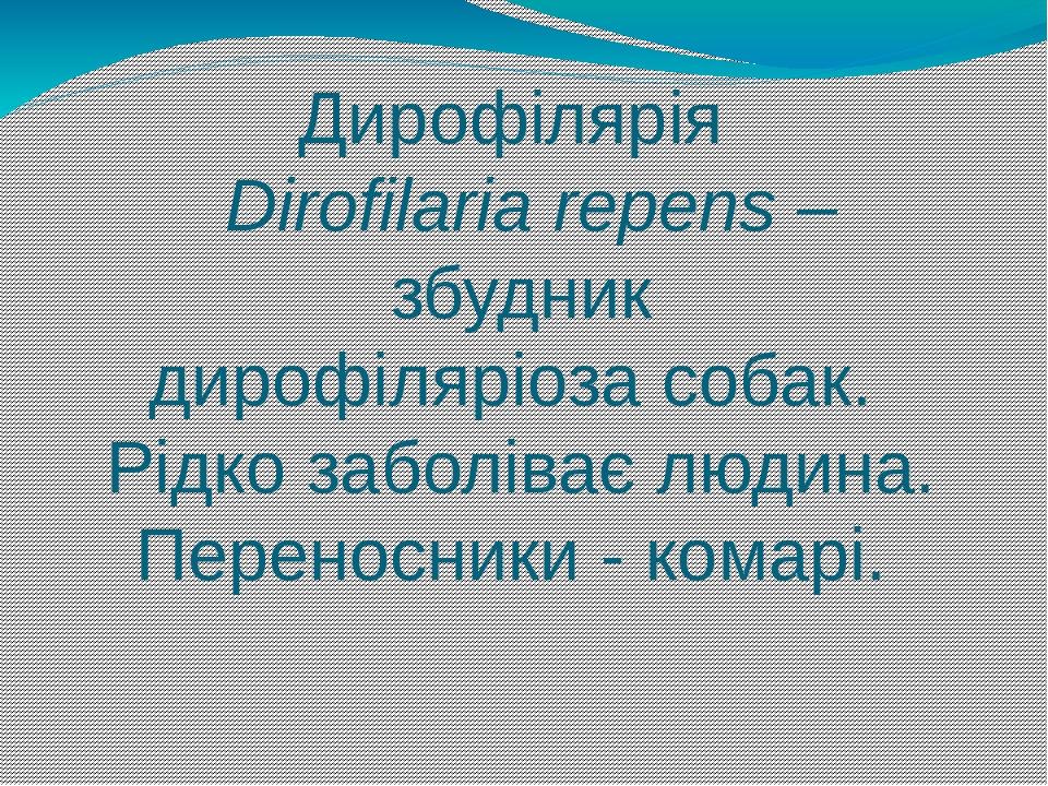 Дирофілярія Dirofilaria repens – збудник дирофіляріоза собак. Рідко заболіває людина. Переносники - комарі.