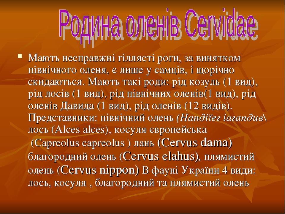 Мають несправжні гіллясті роги, за винятком північного оленя, є лише у самців, і щорічно скидаються. Мають такі роди: рід козуль (1 вид), рід лосів...