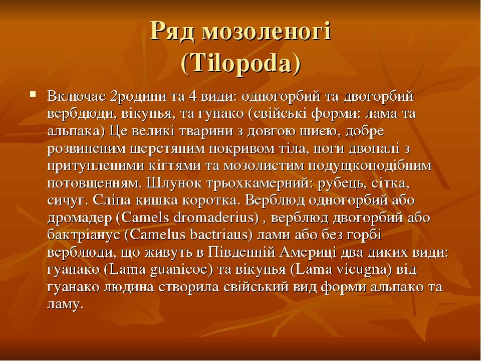 Ряд мозоленогі (Tilopodа) Включає 2родини та 4 види: одногорбий та двогорбий вербдюди, вікунья, та гунако (свійські форми: лама та альпака) Це вели...