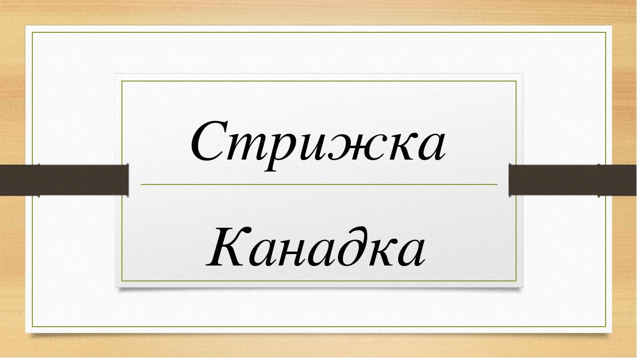 Стрижка Канадка