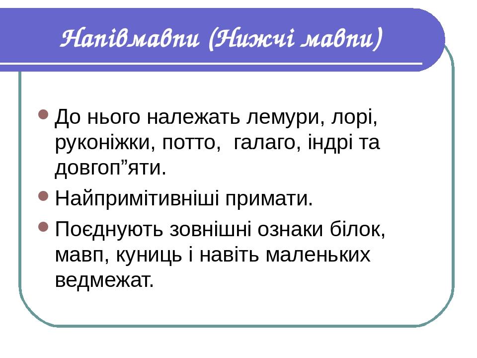 Напівмавпи (Нижчі мавпи) До нього належать лемури, лорі, руконіжки, потто, галаго, індрі та довгоп”яти. Найпримітивніші примати. Поєднують зовнішні...