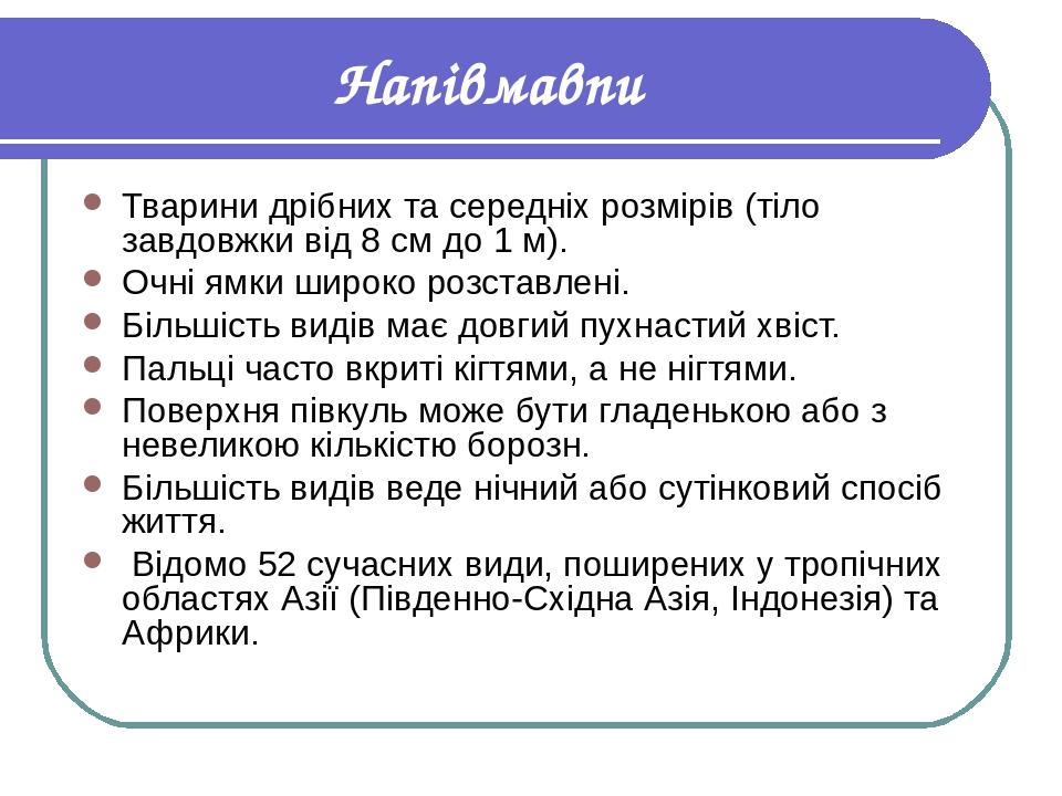 Напівмавпи Тварини дрібних та середніх розмірів (тіло завдовжки від 8 см до 1 м). Очні ямки широко розставлені. Більшість видів має довгий пухнасти...