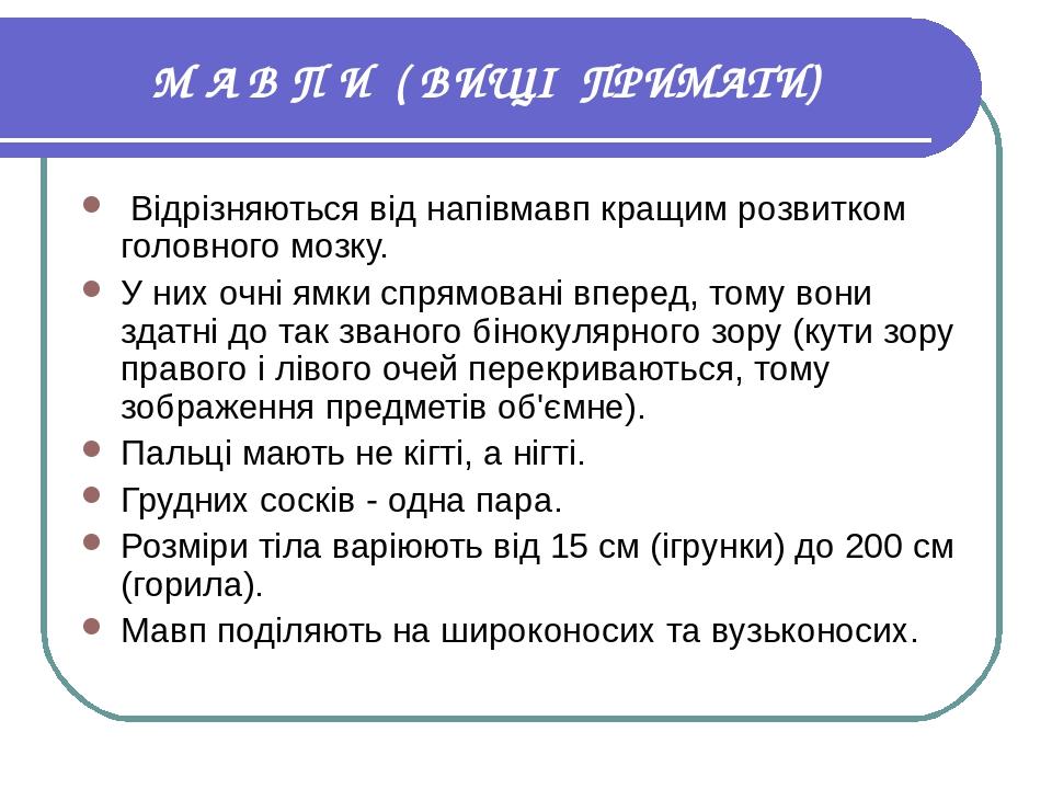 М А В П И ( ВИЩІ ПРИМАТИ) Відрізняються від напівмавп кращим розвитком головного мозку. У них очні ямки спрямовані вперед, тому вони здатні до так ...