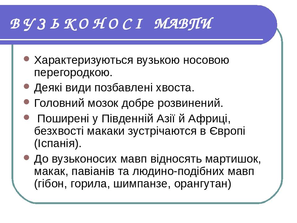 В У З Ь К О Н О С І МАВПИ Характеризуються вузькою носовою перегородкою. Деякі види позбавлені хвоста. Головний мозок добре розвинений. Поширені у ...