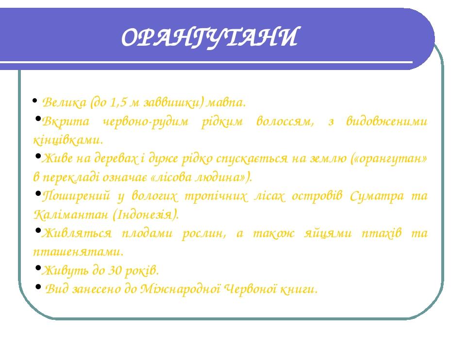 ОРАНГУТАНИ Велика (до 1,5 м заввишки) мавпа. Вкрита червоно-рудим рідким волоссям, з видовженими кінцівками. Живе на деревах і дуже рідко спускаєть...