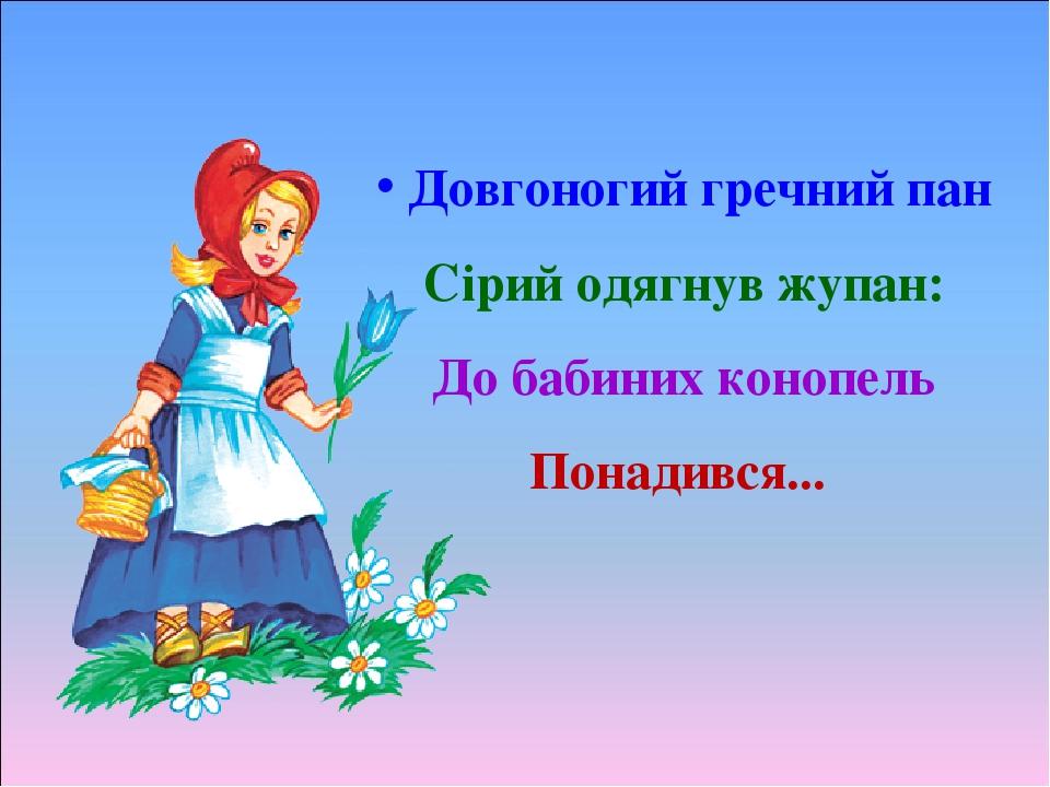Довгоногий гречний пан Сірий одягнув жупан: До бабиних конопель Понадився...