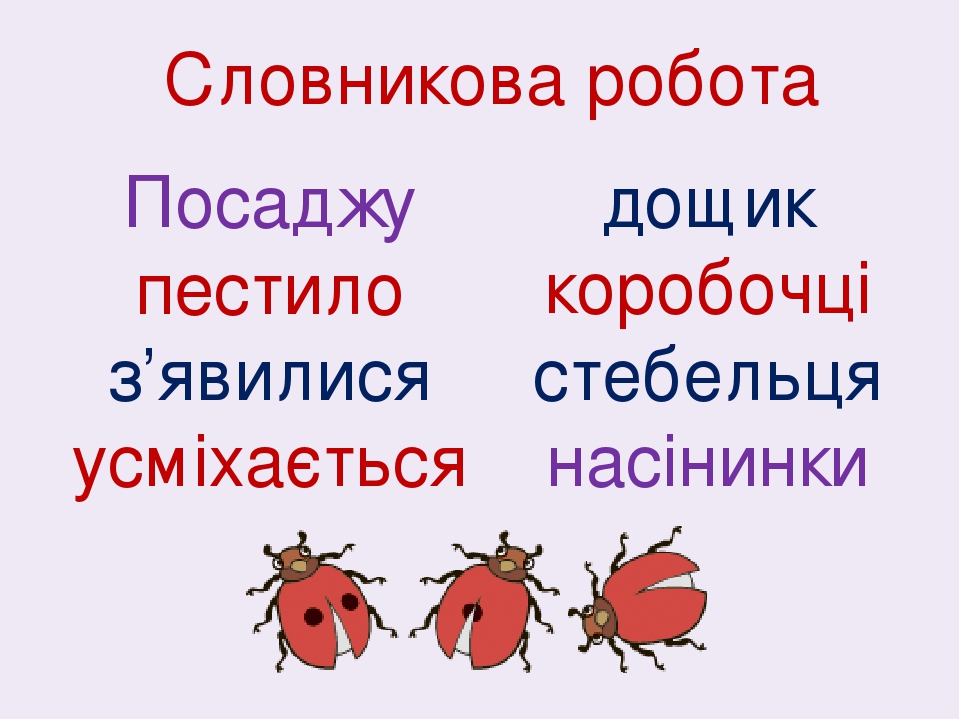 Висловлюємо свої міркування. Олег Буцень «Айстри»