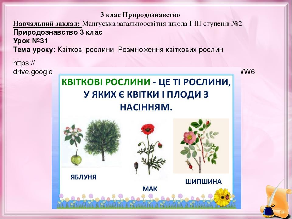 3 клас Природознавство Навчальний заклад: Мангуська загальноосвітня школа I-III ступенів №2 Природознавство 3 клас Урок №31 Тема уроку: Квіткові ро...