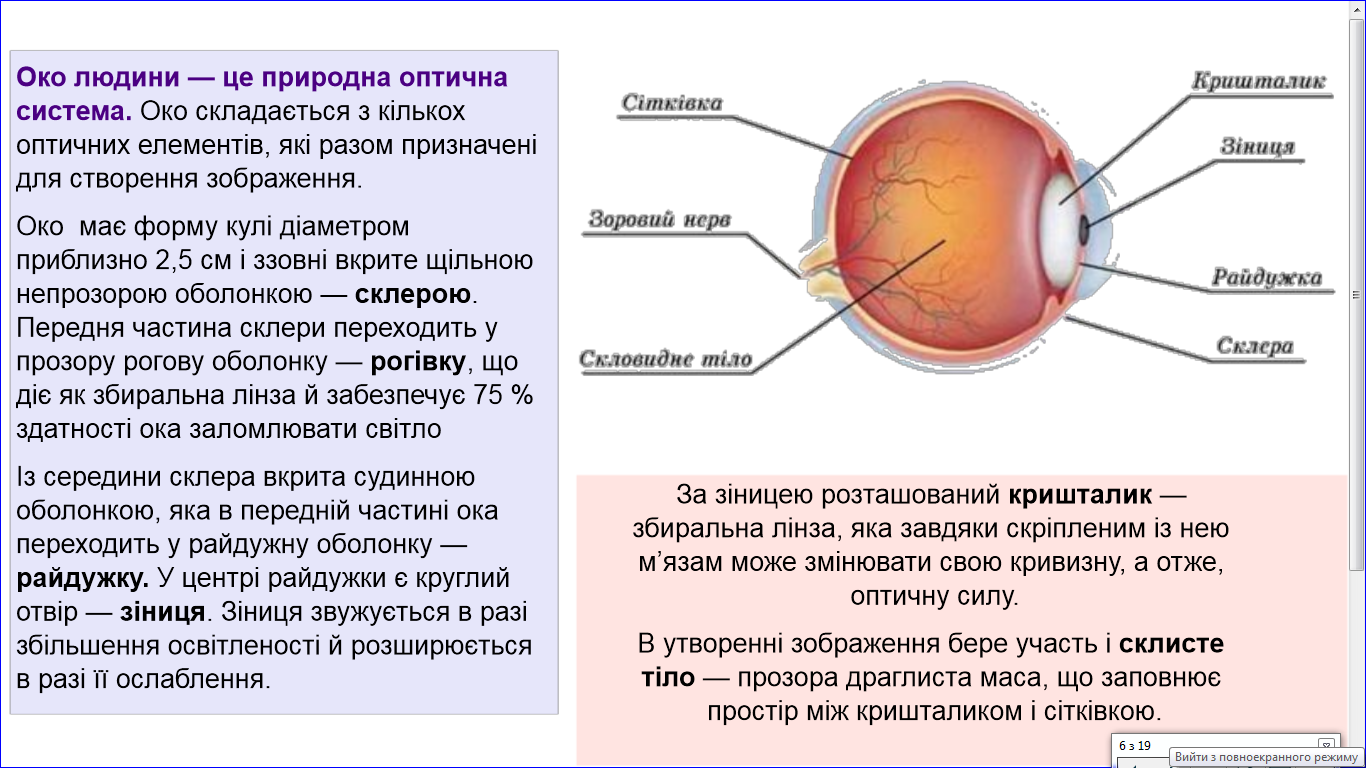 Оптична система Ока. Оптична система це. Склисте тіло. Як елементи Ока утворюють оптичну систему Ока.