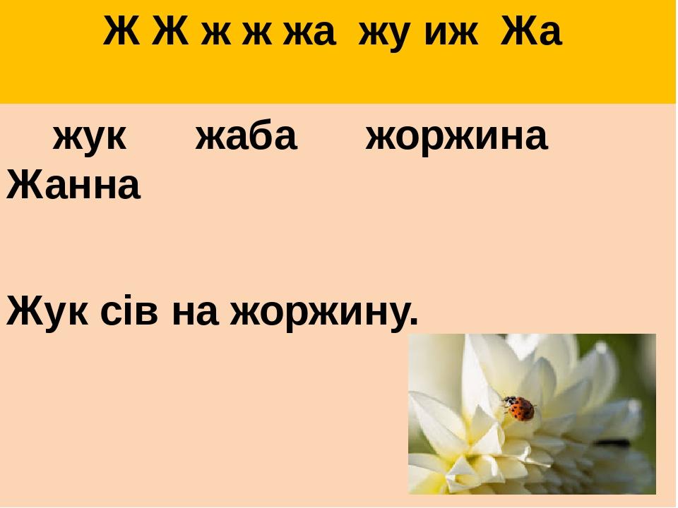 Ж Ж ж ж жа жу иж Жа жук жаба жоржина Жанна Жук сів на жоржину.