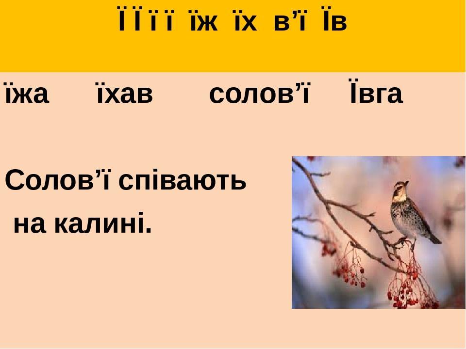 Ї Ї ї ї їж їх в’ї Їв їжа їхав солов’ї Ївга Солов’ї співають на калині.