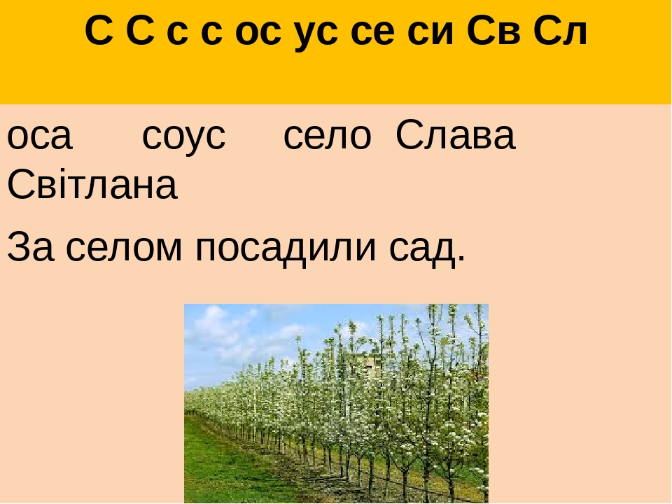 С С с с ос ус се си Св Сл оса соус село Слава Світлана За селом посадили сад.