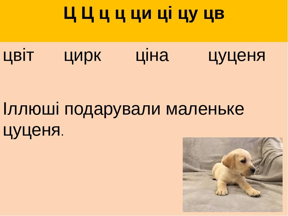 Ц Ц ц ц ци ці цу цв цвіт цирк ціна цуценя Іллюші подарували маленьке цуценя.