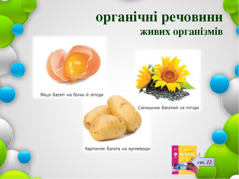 ОРГАНІЧНІ МОЛЕКУЛИ. БІОПОЛІМЕРИ