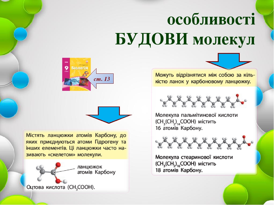 ОРГАНІЧНІ МОЛЕКУЛИ. БІОПОЛІМЕРИ