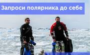 А ти вже запросив полярника до себе?