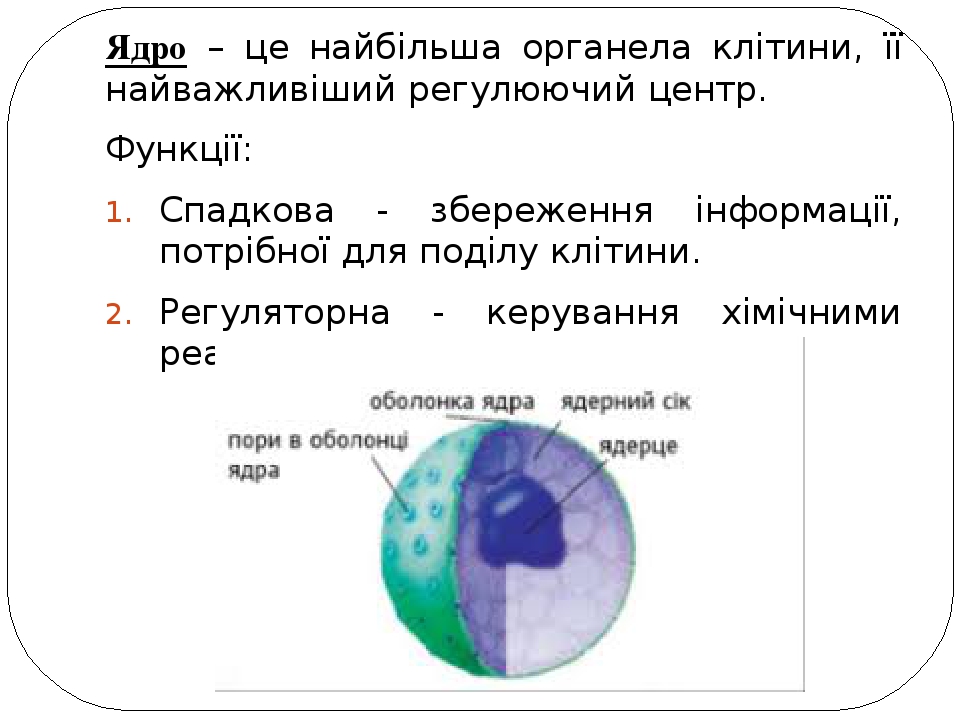 Кто создал ядро в андертейл