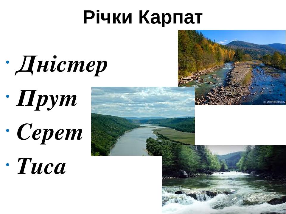 Річки Карпат Дністер Прут Серет Тиса