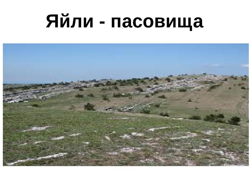 Яйли - пасовища