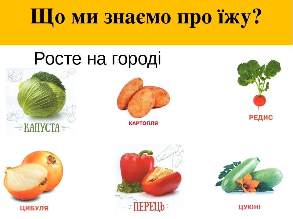 Тиждень 27. " Навіщо ми їмо?"